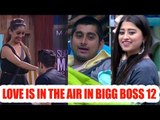 Update on Bigg Boss 12 : Love is in the air in Bigg Boss  12