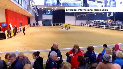 GOODLINES: 22nd December 2018