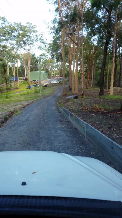 Two Kangaroos Rumble