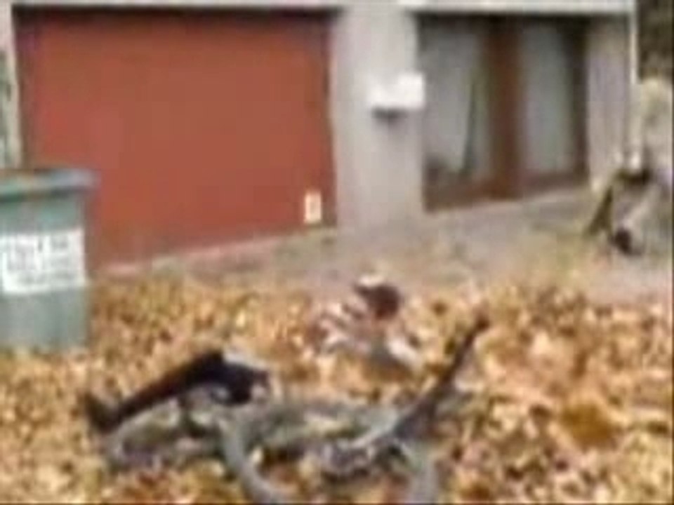 Chute vtt proutman41