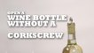 Open a wine bottle without a corkscrew