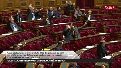 Gilets jaunes : après l’Assemblée, le Sénat adopte à son tour les mesures d’urgence