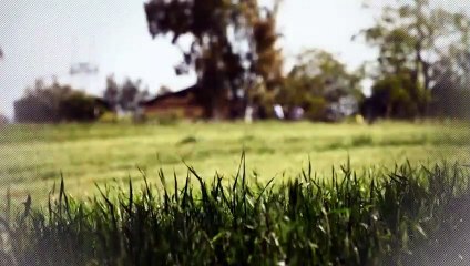 A vendre - Maison/villa - SAINTE FOY LES LYON (69110) - 6 pièces - 170m²