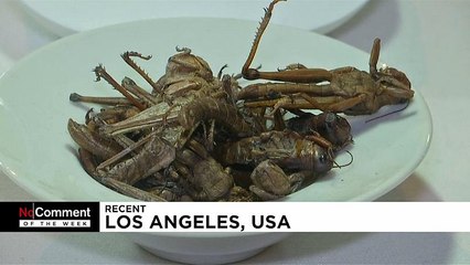 I migliori no comment della settimana