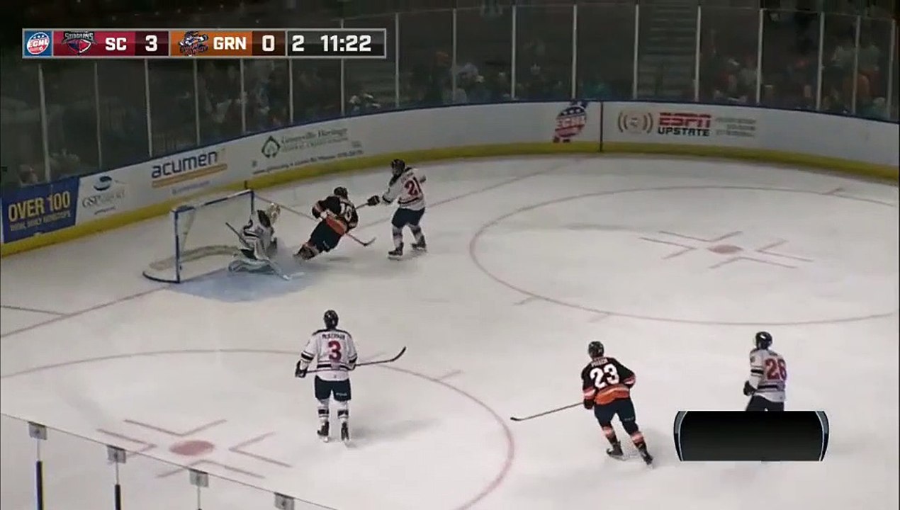 ECHL South Carolina Stingrays 3 at Greenville Swamp Rabbits 2