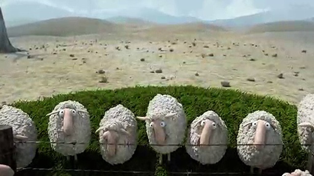 funny video about sheep