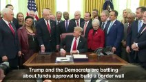 Trump: It's up to the Democrats...it's the Democrats' shutdown