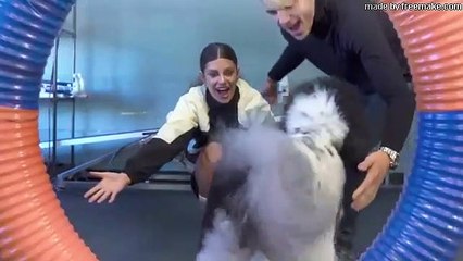 Impressing Your Ex   Hannah Stocking