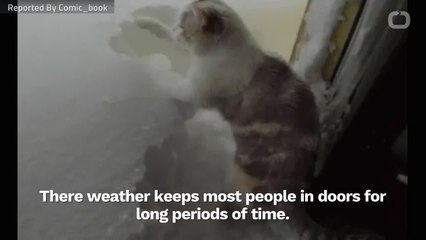 Huge 'Dungeons & Dragons' Books Sale Ends Tonight