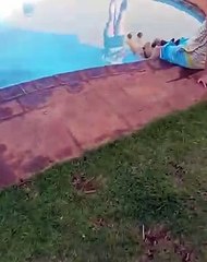 학생증위조  카톡 ID best3838 #대학교졸업증명서위조 #고등학교졸업증명서위조 #졸업증명서위조  광고글삭제후에도365일실시간문의가능