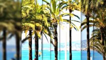 Location vacances - Appartement - Cannes (06400) - 2 pièces - 54m²