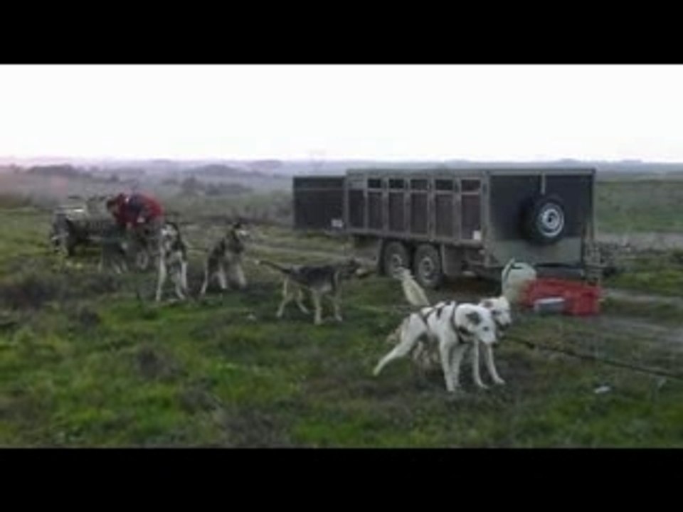 2007.10 entrainements des chiens en quad