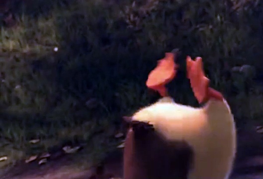 온라인릴게임, 검증릴게임사이트 ♕д♕ VFV7 쩜 C오엠 ♕д♕ 오션파라다이스