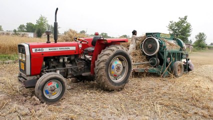 Operating Thresher Harvest