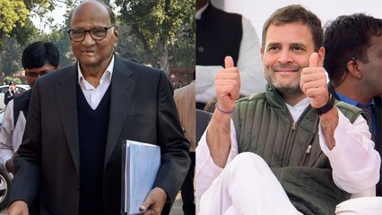 下载视频: Maharashtra में Congress NCP Alliance, Rahul Gandhi Sharad Pawar में बनी बात | वनइंडिया हिंदी