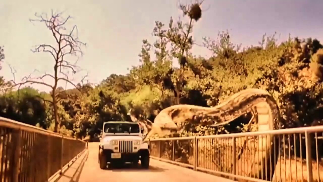 Snake Attack on Peoples