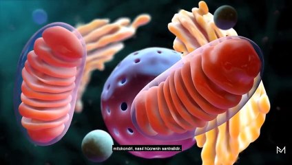 Seni Kendine Getirecek Motivasyon Videosu