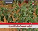 الرئيس السيسي يتفقد الصوب الزراعية بالعاشر من رمضان