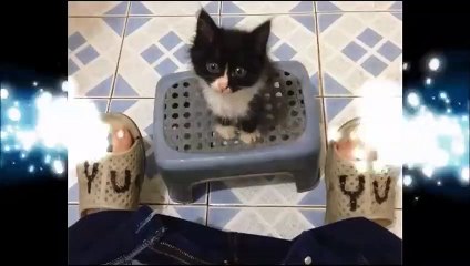 Tạm Biệt Mr. X • Mr. X and I Goodbye Mr. X • Ep. 08