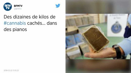 Des dizaines de kilos de cannabis cachés dans des pianos