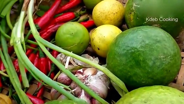 Cambodian fart boy wilderness food, barbecue 鹌鹑 eat, netizen really eat