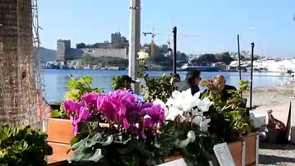 Aralık ayında deniz keyfi - MUĞLA