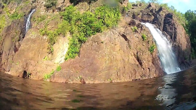 Un touriste de prend un crocodile sur la tête... Flippant