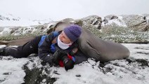 Cette photographe sert d'oreiller à 2 lions de mer