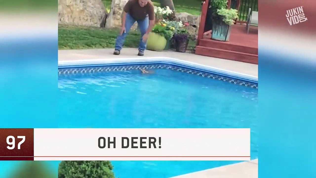 Top 100 Viral Videos of the Year 2018