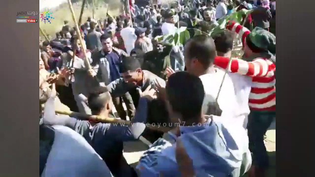 شاهد.. احتفال الطرق الصوفية بمولد بمولد العارف بالله بدشنا