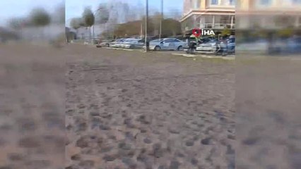 İzmir'de Fren Yerine Gaza Basınca Denize Uçtular