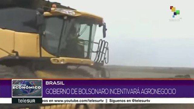 Brasil: Gobierno de Jair Bolsonaro incentivará el agronegocio
