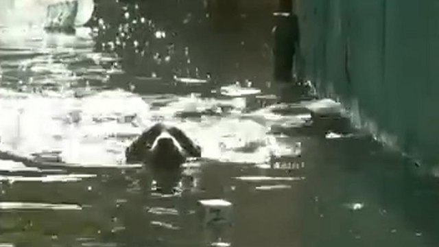 Temporal e inundações em Havana