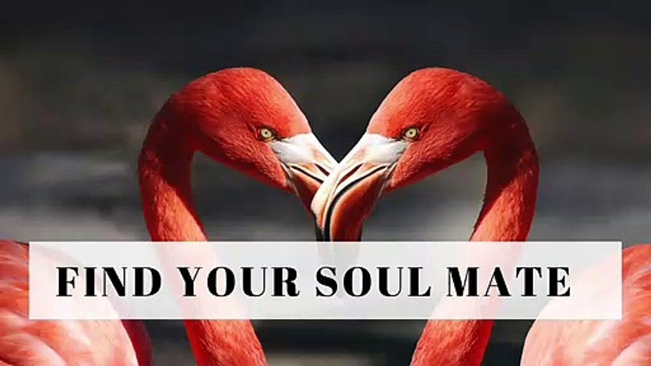 WisdomWords Abraham Hicks ❤️ How to Find Your Soul Mate Lover