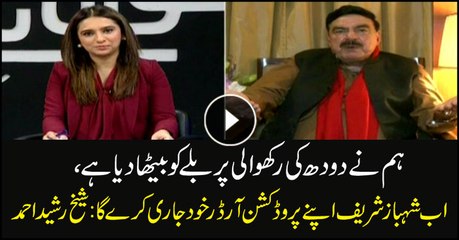 Cat has been posted to protect milk: Sheikh Rasheed