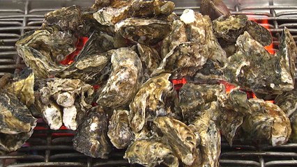 굴 맛이 꿀맛인 계절이 왔다! / YTN