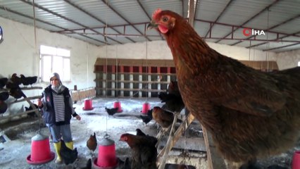 Hobisini Gelir Kapısına Çevirdi