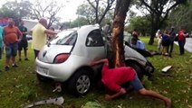 Carro invade canteiro central da Avenida Brasil e atinge árvore