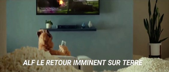 La série culte "Alf" bientôt de retour à la télévision !