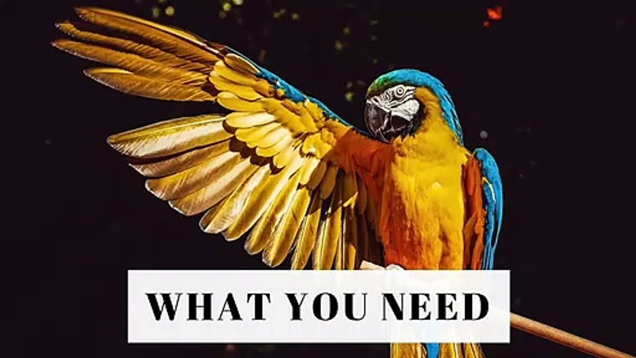 Abraham Hicks - Your Inner Being Will Tell You What You Need