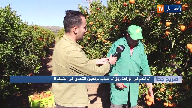 صريح جدا: ولكم في الزراعة رزق ..شباب يرفعون التحدي في الشلف !!