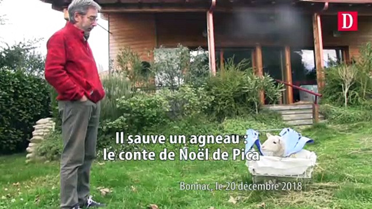 Le conte de Noël de Pica, l'agneau blessé reccueilli par un Ariégeois