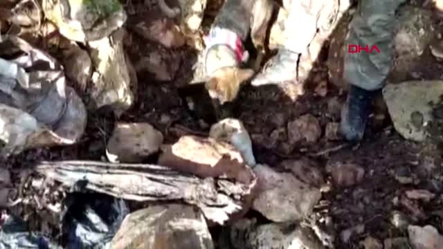 Siirt Eruh'ta PKK'lı Teröristlerin 6 Sığınağı İmha Edildi