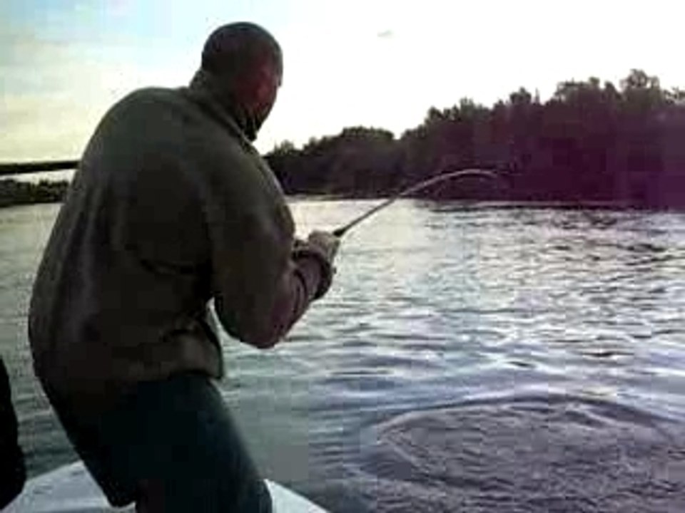 Bar de 5kg avec Julien guide du Rio Ebro