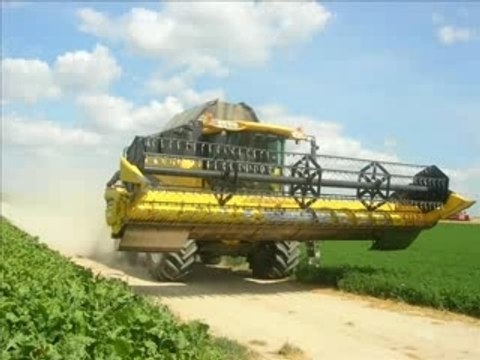 Moisson 2007 dans la Marne :New Holland Cx 840