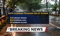 Minggu (23/12/2018) Pukul 16.00, 222 Orang Meninggal Terdampak Tsunami Selat Sunda