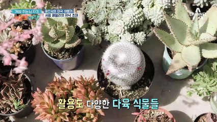 내가 이 구역 서핑왕이닷! 서핑왕 코아네와의 신나는 저녁 시간~