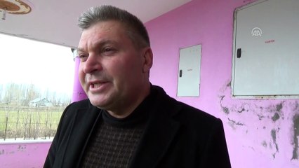 Otomobilin çarptığı kediye çocuk sahip çıktı - MUŞ