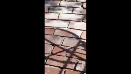 Combination Of Sightings in New York TWO SUNS Visibility Very Clear