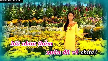 Karaoke Nếu Xuân Này Vắng Anh - Cẩm Ly